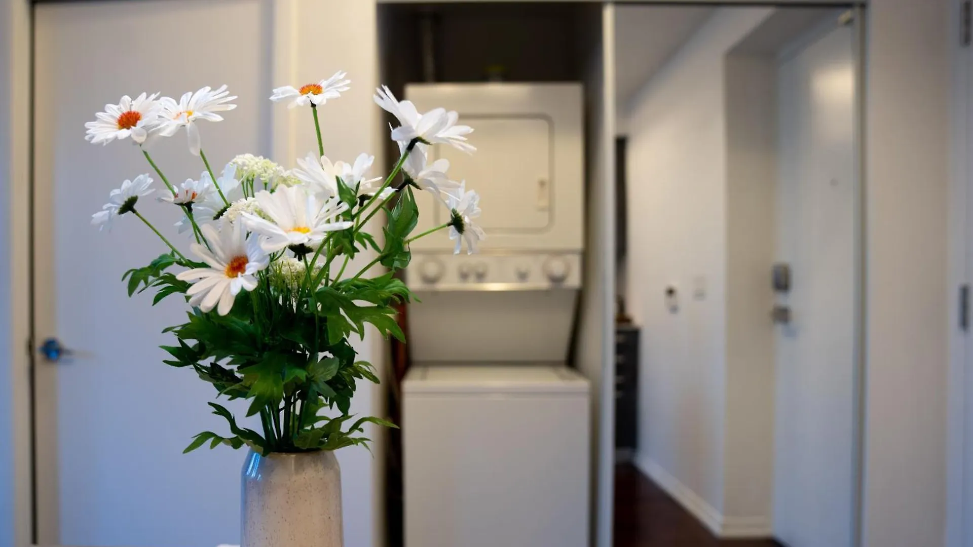 Homestay Great View High Rise In Central Toronto